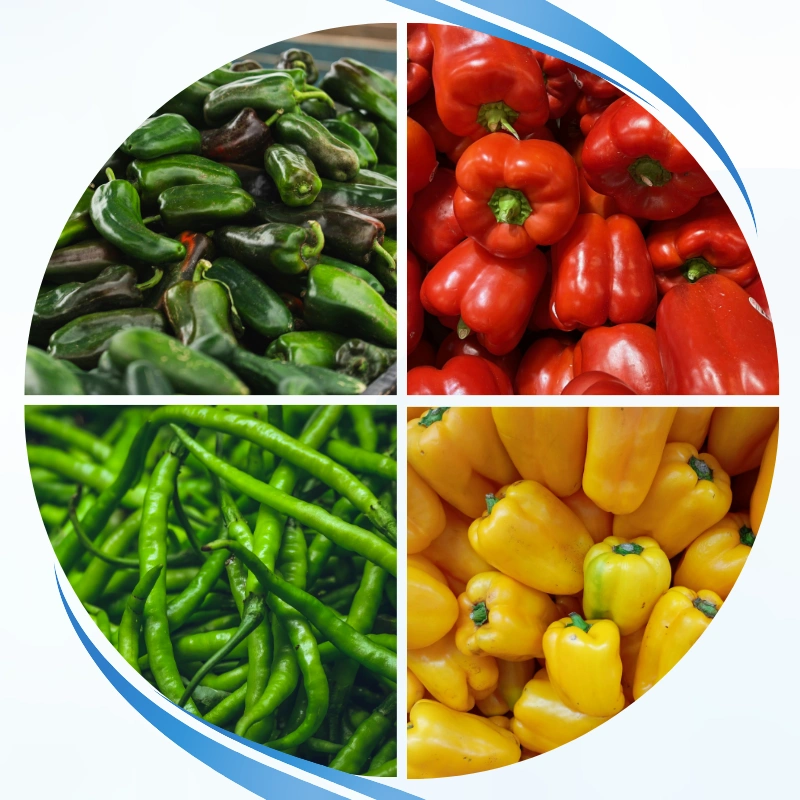Peppers & Chillies