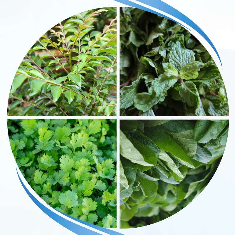Leafy Greens & Herbs