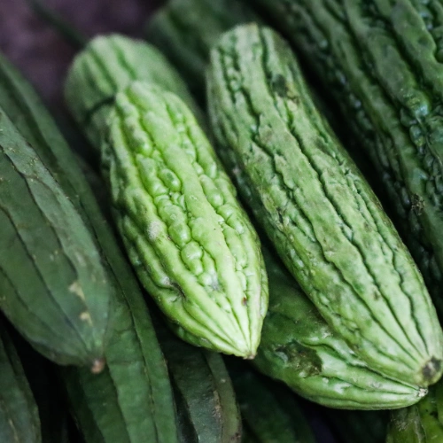 Ridge Gourd