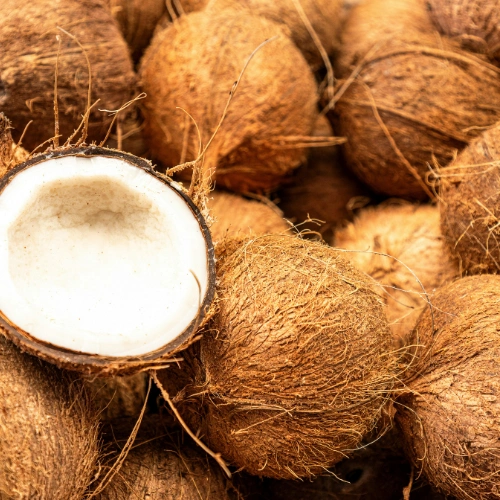 Coconut