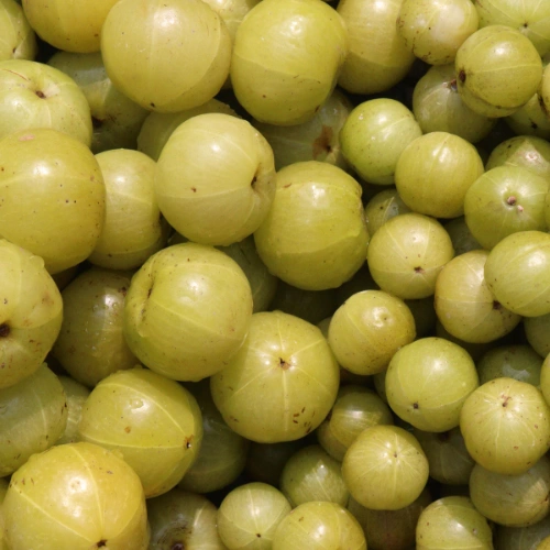 Indian Gooseberry (Amla)
