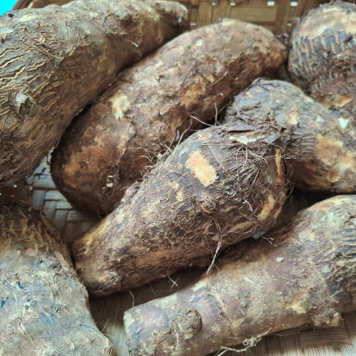 Taro Root (Colocasia)